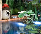gallery-1 gallery-1